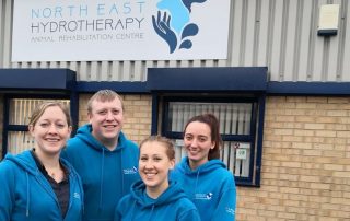 Drum Business Park - pleasant