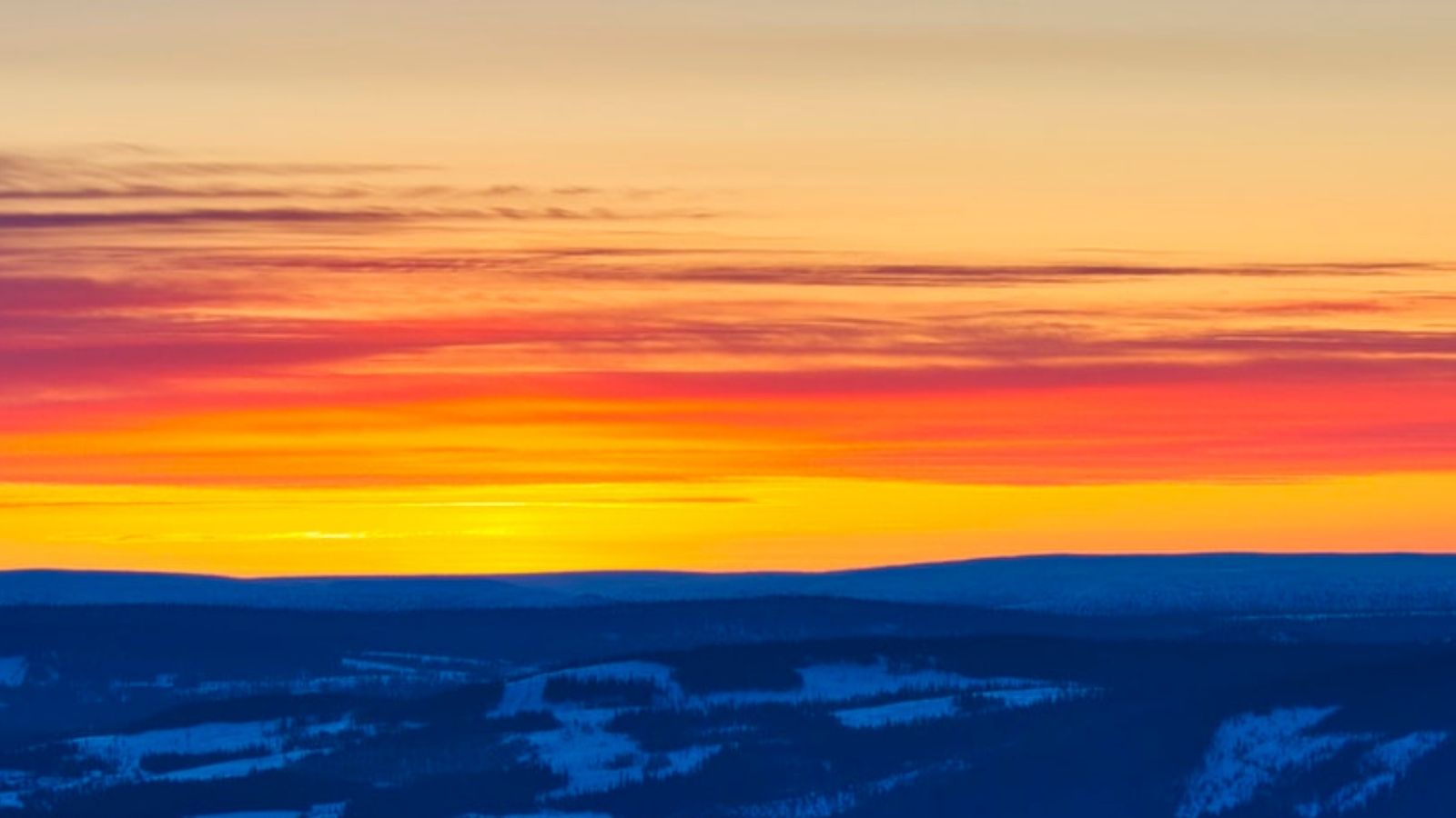 Drum Business Park - 09738