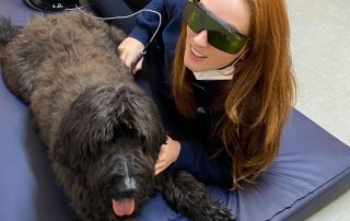 Drum Business Park - Newfoundland dog