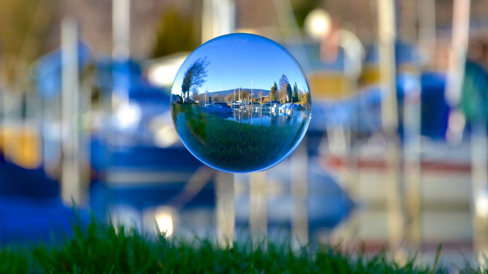 Demystifying the new UK Environment Act